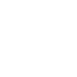 Fibre icon - 2