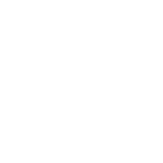 Fibre icon - business